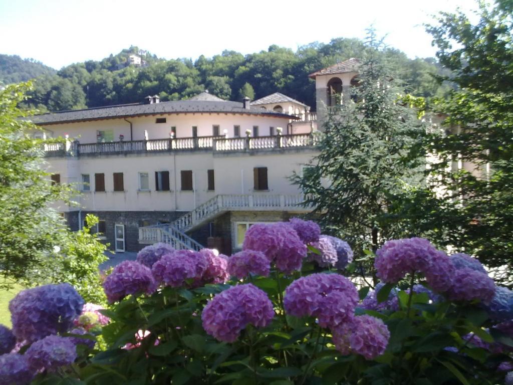 Hotel Villa Delle Ortensie Sant'Omobono Terme Экстерьер фото